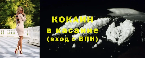 стафф Алексин