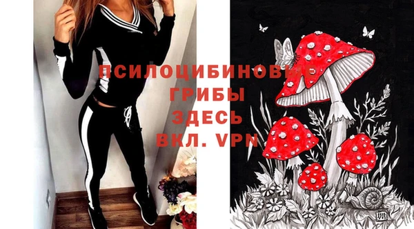 метадон Галич