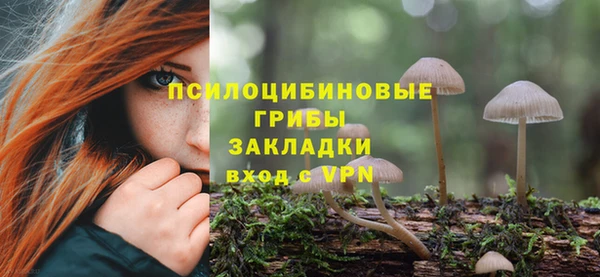 герыч Алексеевка